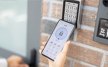 Sisteme de Securitate